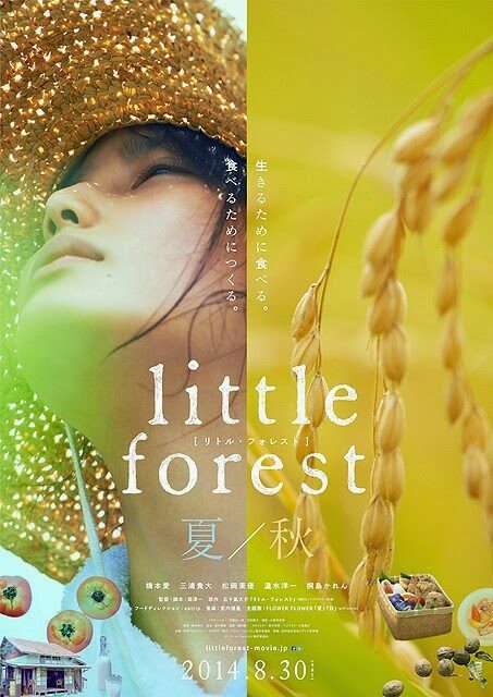 little_forest-_summer_26_autumn-p1-8194351