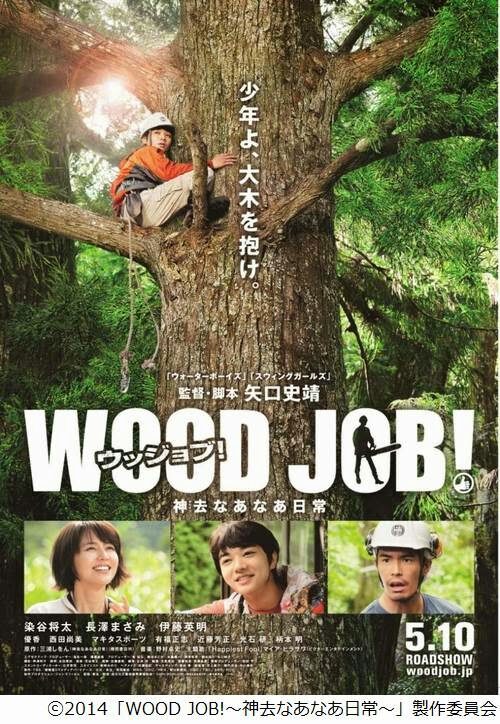 wood_job-p1-1587779